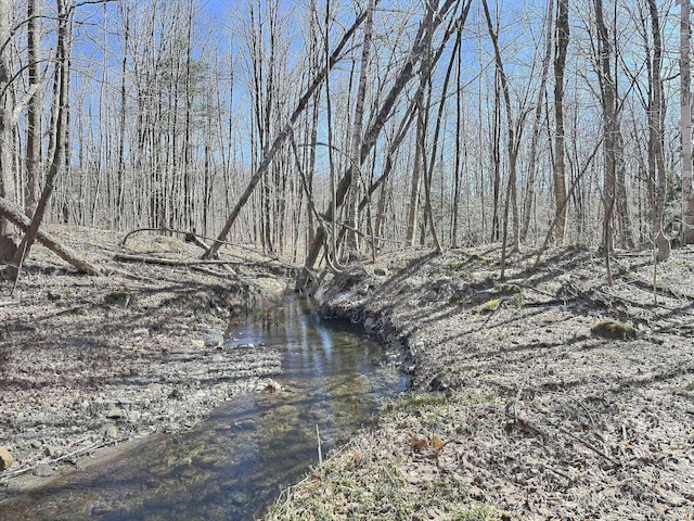view of water feature featuring a forest view