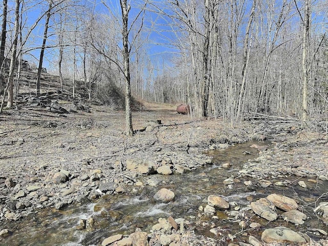 view of nature