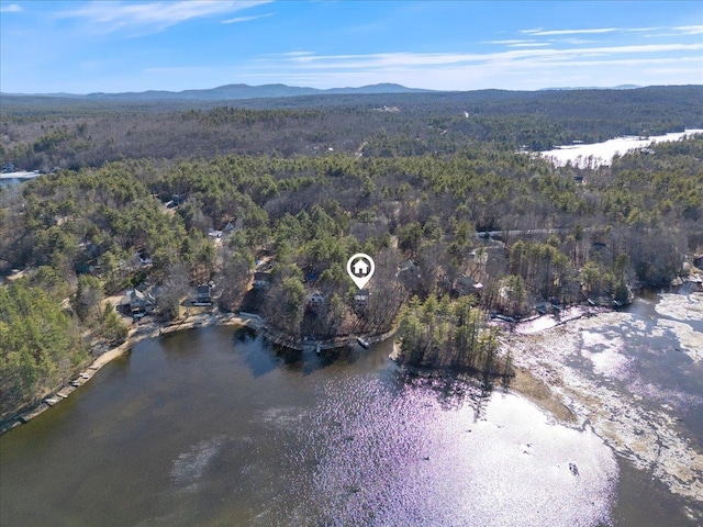 birds eye view of property featuring a wooded view and a water and mountain view