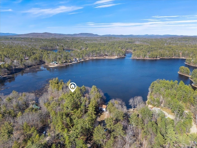 drone / aerial view with a wooded view and a water and mountain view