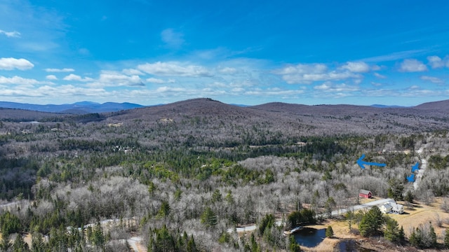 8856 Cold River Rd, Shrewsbury, VT 05738