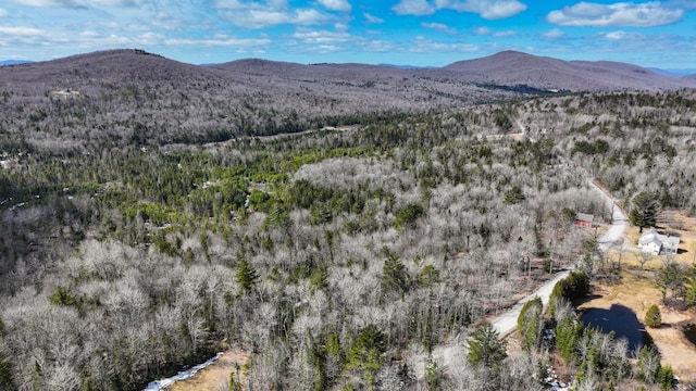 8856 Cold River Rd, Shrewsbury, VT 05738