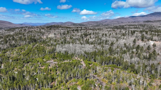 8856 Cold River Rd, Shrewsbury, VT 05738