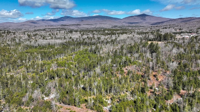 8856 Cold River Rd, Shrewsbury, VT 05738