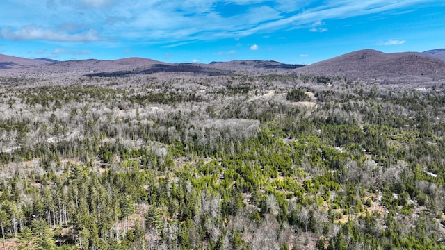 8856 Cold River Rd, Shrewsbury, VT 05738
