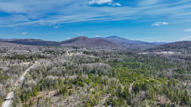 8856 Cold River Rd, Shrewsbury, VT 05738