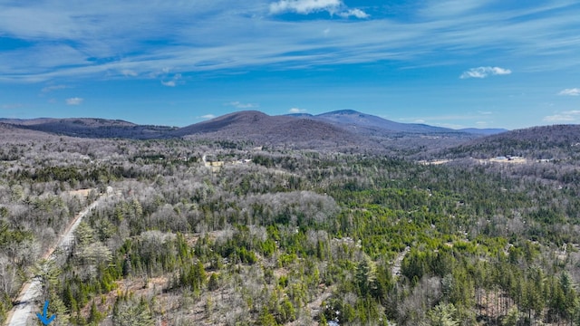 8856 Cold River Rd, Shrewsbury, VT 05738