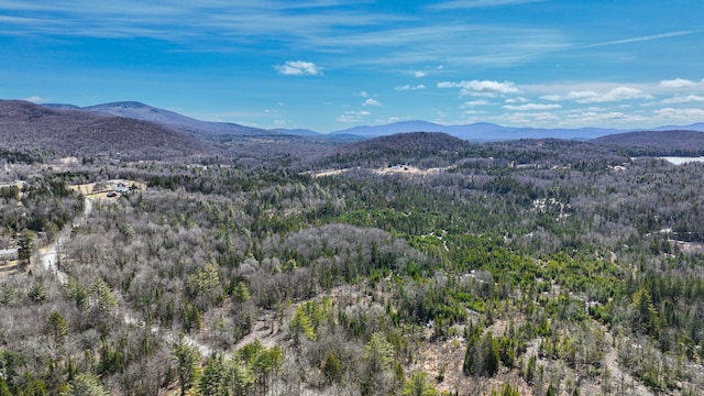 8856 Cold River Rd, Shrewsbury, VT 05738