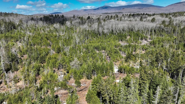 8856 Cold River Rd, Shrewsbury, VT 05738