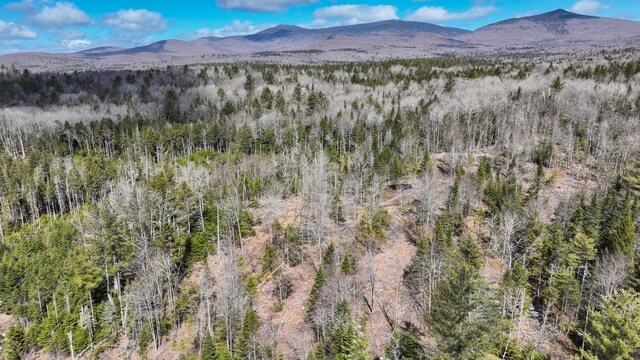 8856 Cold River Rd, Shrewsbury, VT 05738