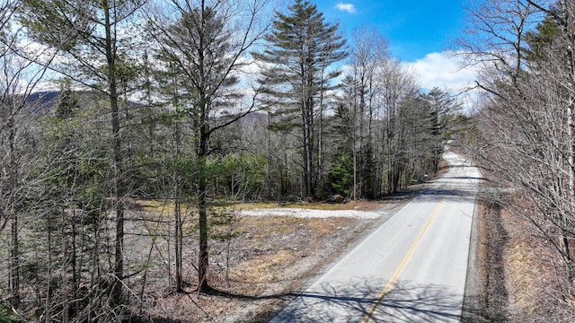 8856 Cold River Rd, Shrewsbury, VT 05738