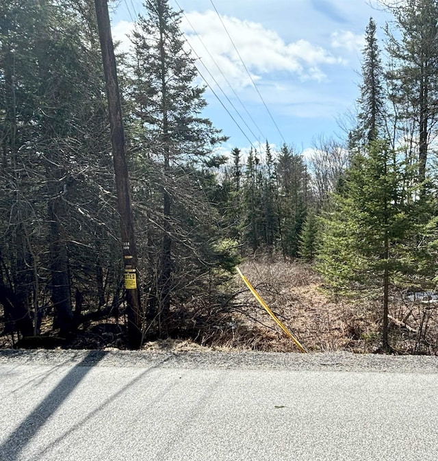 8856 Cold River Rd, Shrewsbury, VT 05738