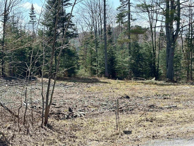 8856 Cold River Rd, Shrewsbury, VT 05738