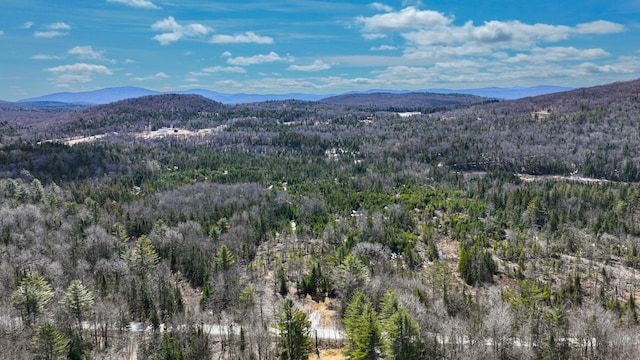 8856 Cold River Rd, Shrewsbury, VT 05738