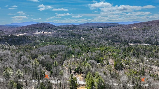 8856 Cold River Rd, Shrewsbury, VT 05738