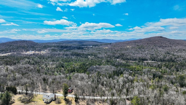 8856 Cold River Rd, Shrewsbury, VT 05738
