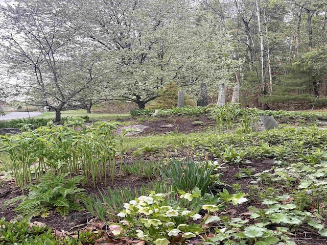 110 Sky View Dr, Pelham, NH 03076 - view of yard
