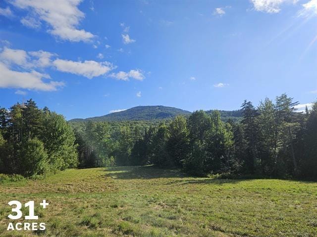 1230 Pinkham Rd, Burke, VT 05832