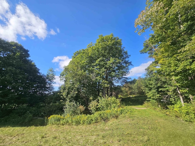 1230 Pinkham Rd, Burke, VT 05832