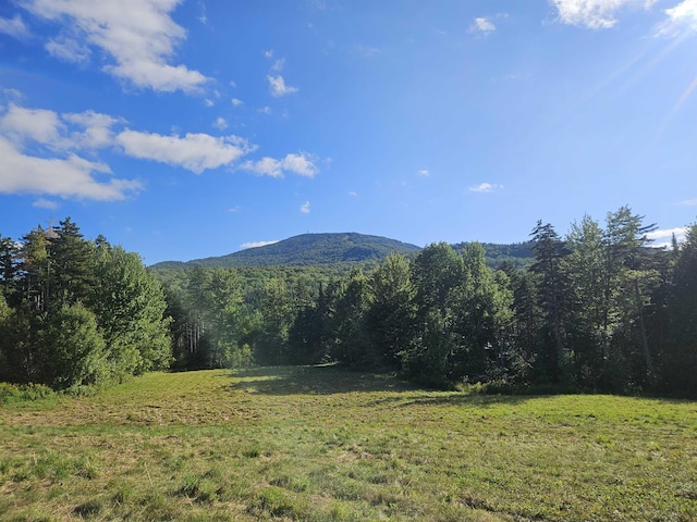 1230 Pinkham Rd, Burke, VT 05832