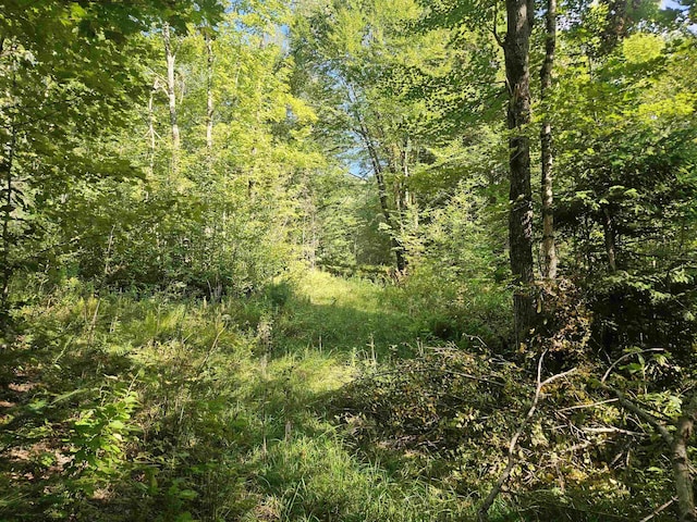 1230 Pinkham Rd, Burke, VT 05832