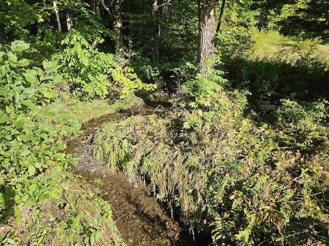 1230 Pinkham Rd, Burke, VT 05832