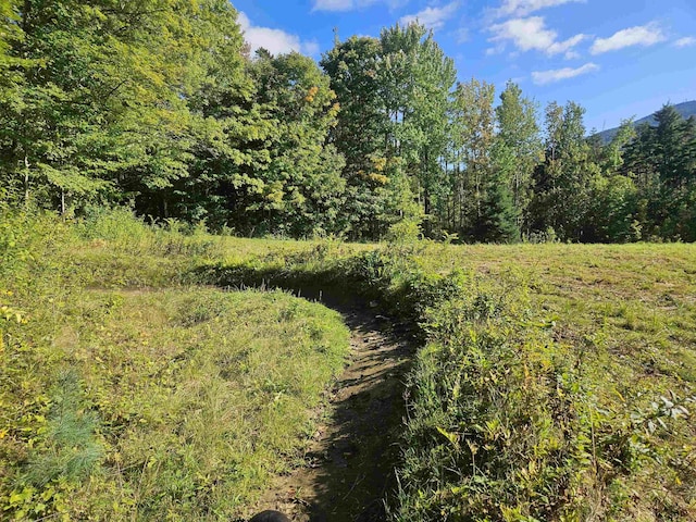 1230 Pinkham Rd, Burke, VT 05832