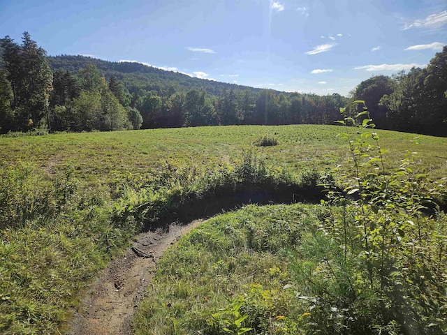 1230 Pinkham Rd, Burke, VT 05832
