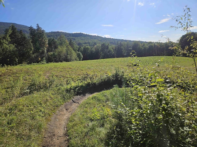 1230 Pinkham Rd, Burke, VT 05832