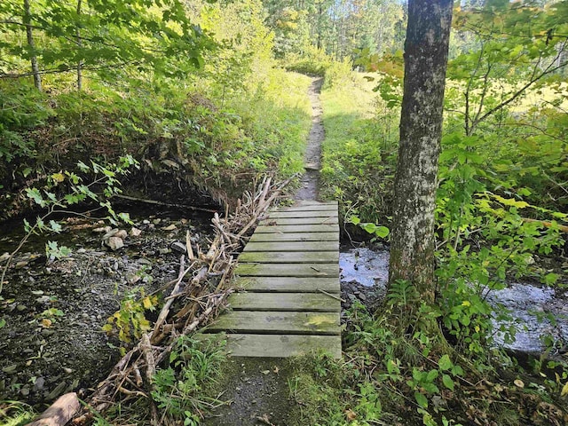 1230 Pinkham Rd, Burke, VT 05832