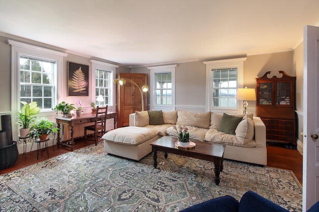 14 Adams Landing Rd, Grand Isle, VT 05458 - living area featuring wood finished floors, ornamental molding, and a healthy amount of sunlight