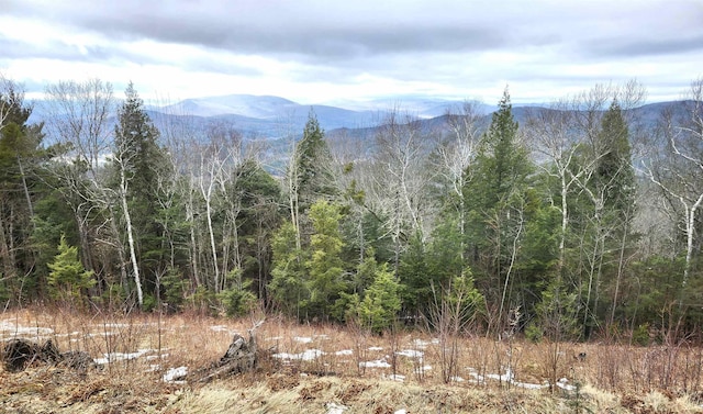 view of mountain feature with a forest view
