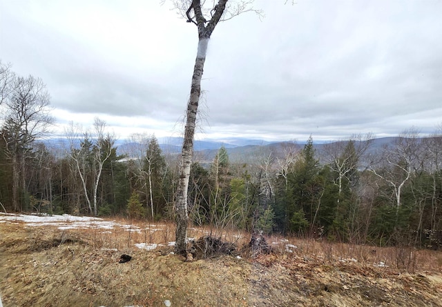mountain view featuring a view of trees