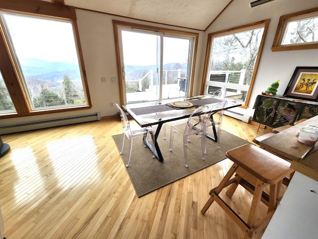 dining room with a healthy amount of sunlight and wood-type flooring