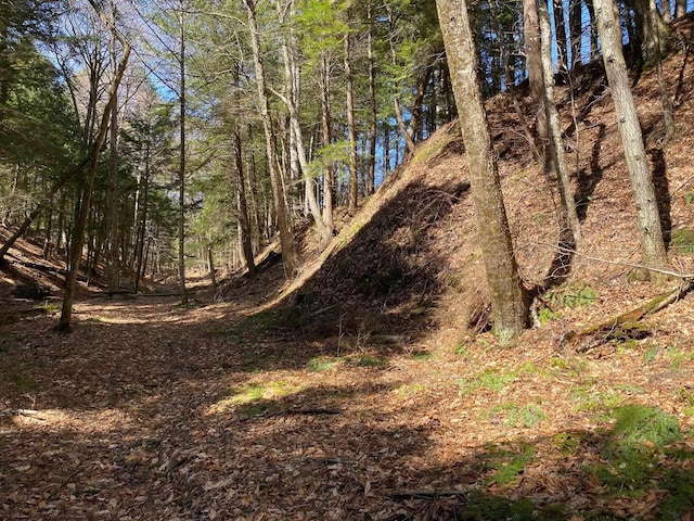 1254 US Route 5, Weathersfield, VT 05156 - view of nature