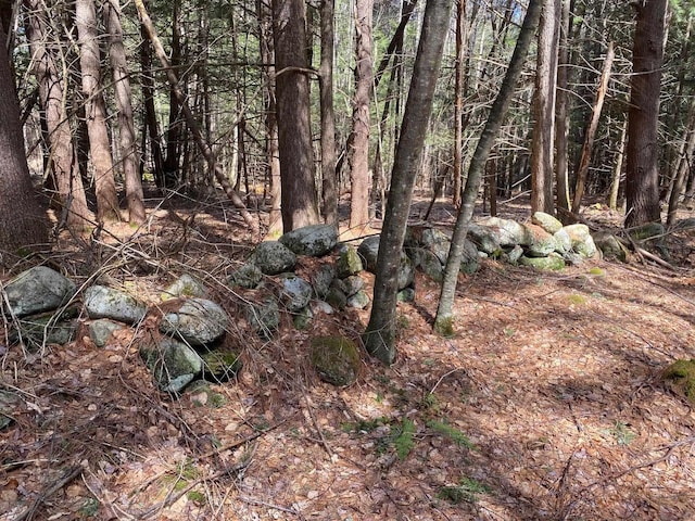 1254 US Route 5, Weathersfield, VT 05156 - view of undeveloped land