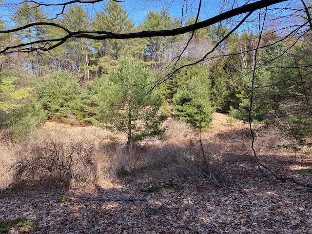 1254 US Route 5, Weathersfield, VT 05156 - view of wooded area