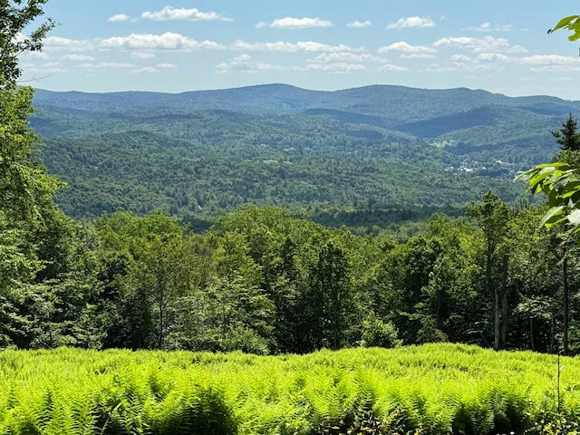 0 Spruce Grove Rd, Wilmington, VT 05363