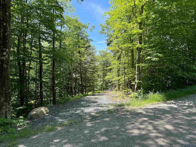 0 Spruce Grove Rd, Wilmington, VT 05363