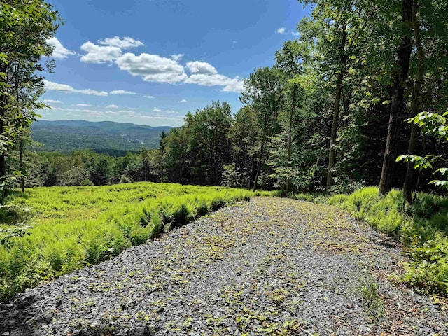 0 Spruce Grove Rd, Wilmington, VT 05363