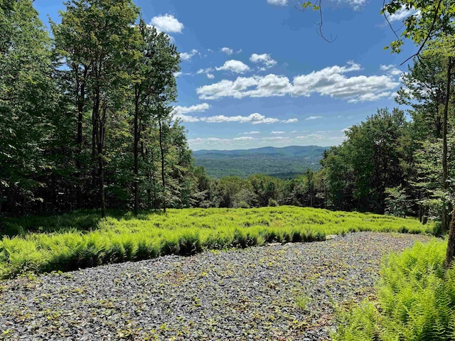0 Spruce Grove Rd, Wilmington, VT 05363