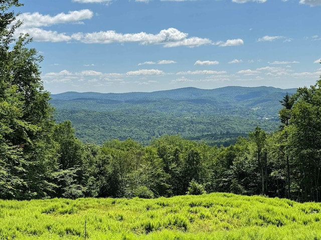 0 Spruce Grove Rd, Wilmington, VT 05363