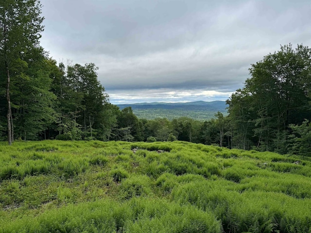 0 Spruce Grove Rd, Wilmington, VT 05363