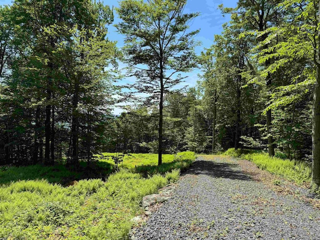 0 Spruce Grove Rd, Wilmington, VT 05363
