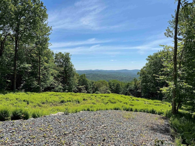 0 Spruce Grove Rd, Wilmington, VT 05363