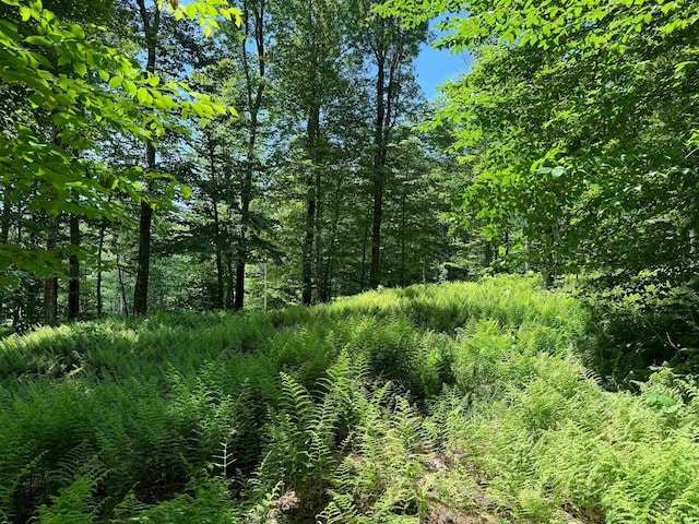 0 Spruce Grove Rd, Wilmington, VT 05363