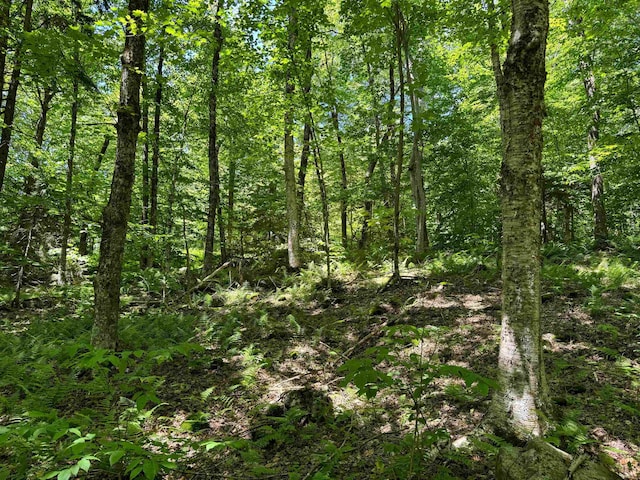 0 Spruce Grove Rd, Wilmington, VT 05363