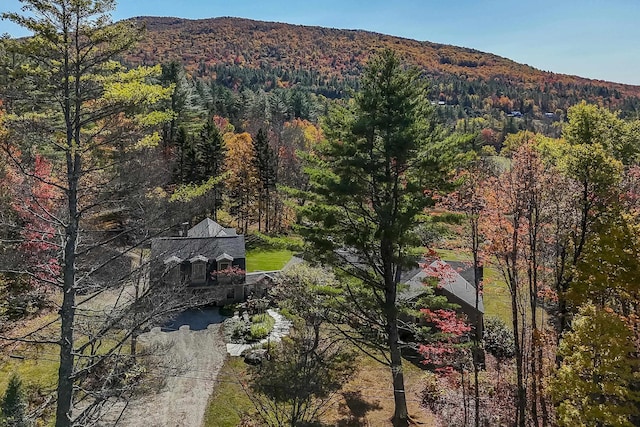 aerial view with a view of trees and a mountain view