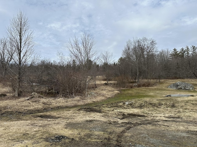 107 Ainsworth Rd, Woodbury, VT 05681 - view of nature