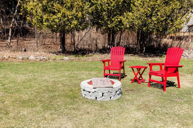17 Old Jaffrey Rd, Peterborough, NH 03458 - view of green lawn with a fire pit